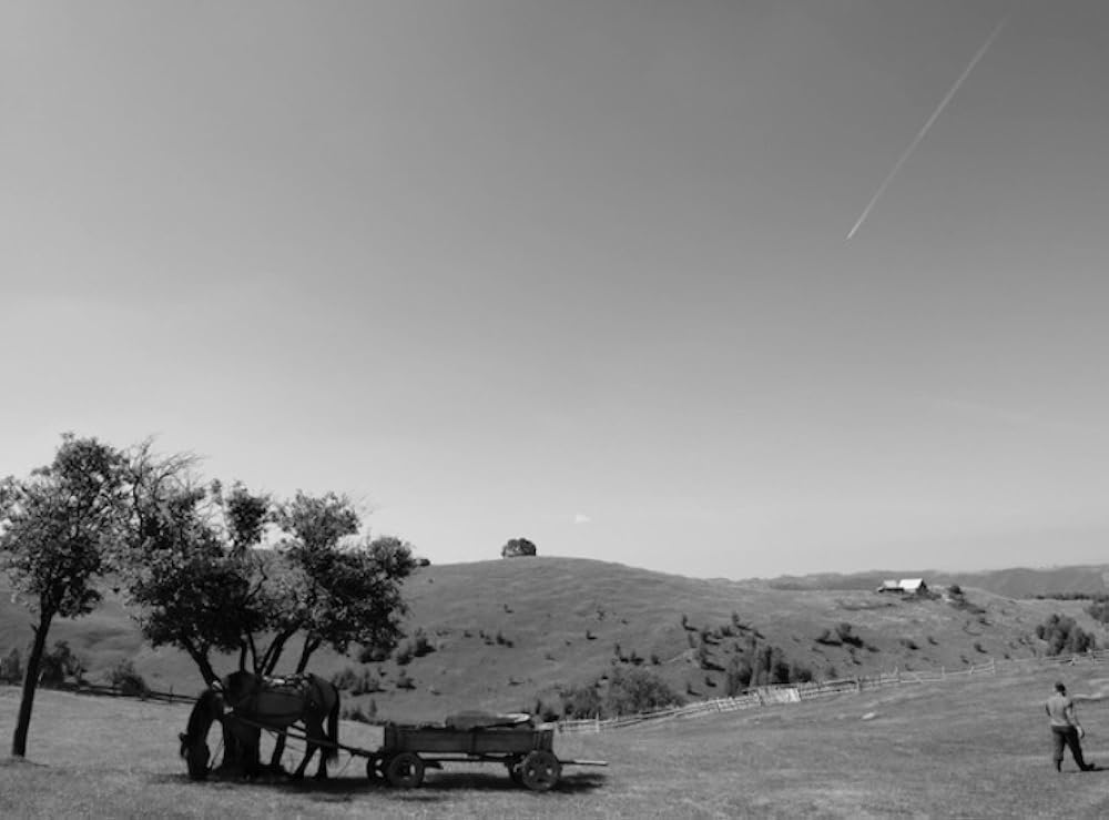Dem Himmel ganz nah (2010)
