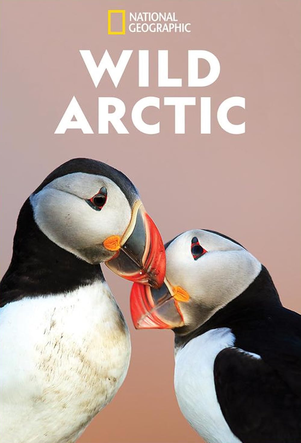 Destination Wild: Wild Arctic (2019)