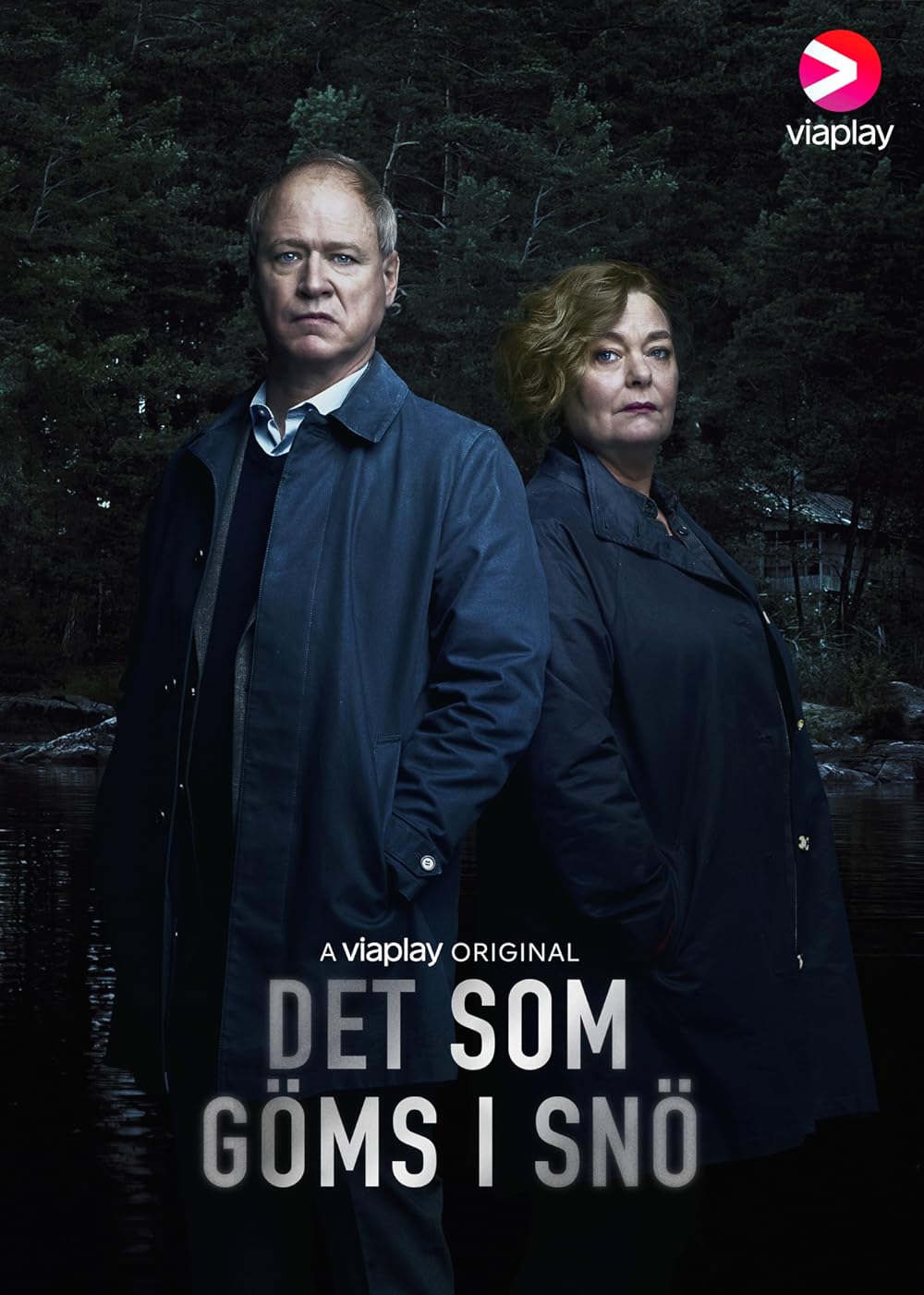 Det som gÃ¶ms i snÃ¶ (2018)