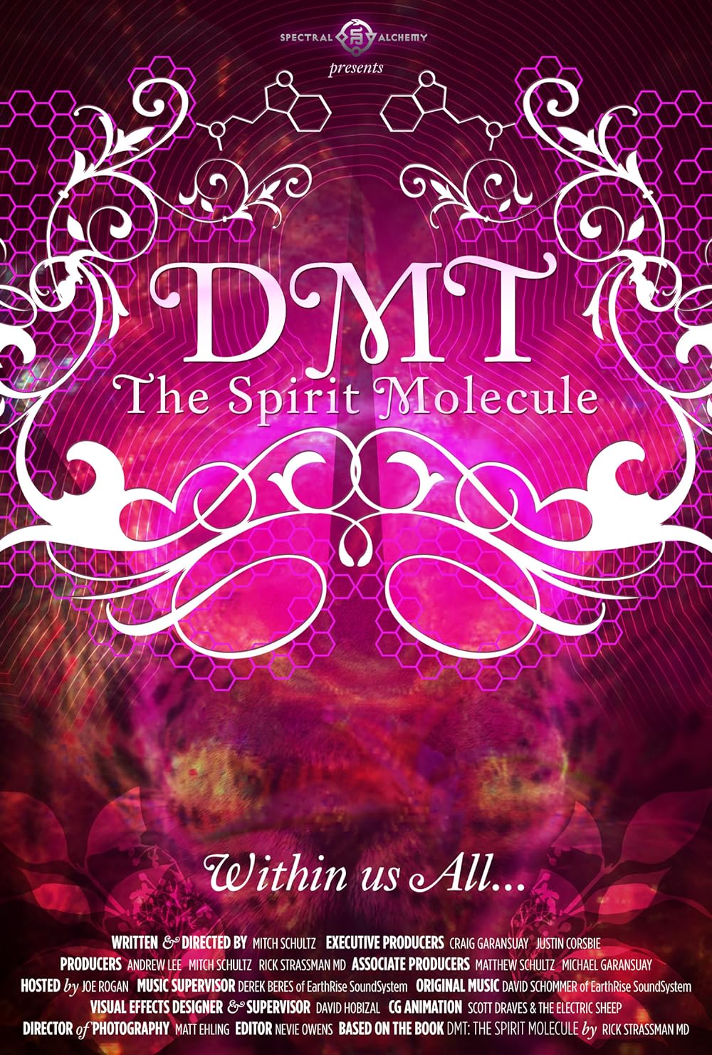 DMT: The Spirit Molecule (2014)