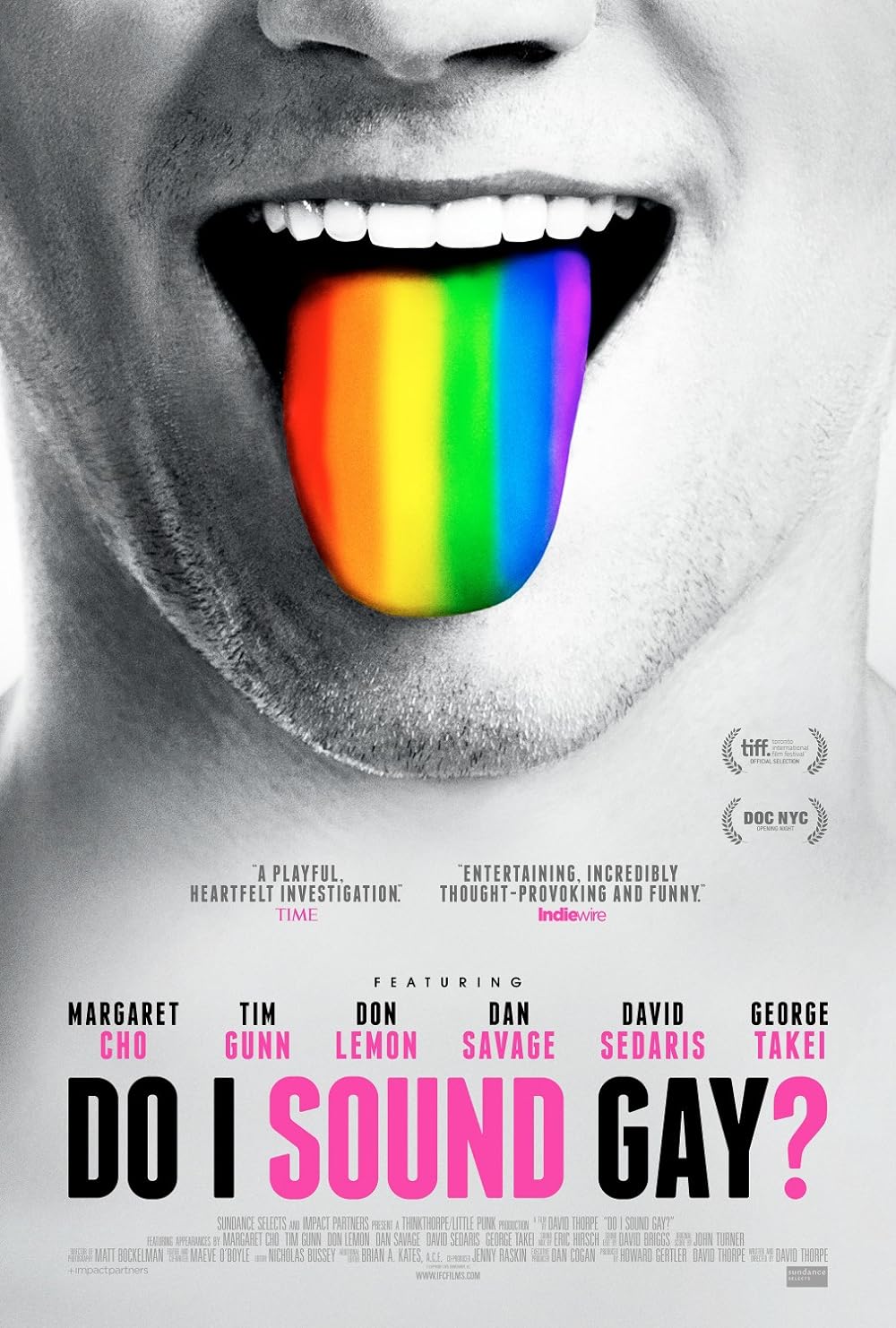 Do I Sound Gay? (2015)