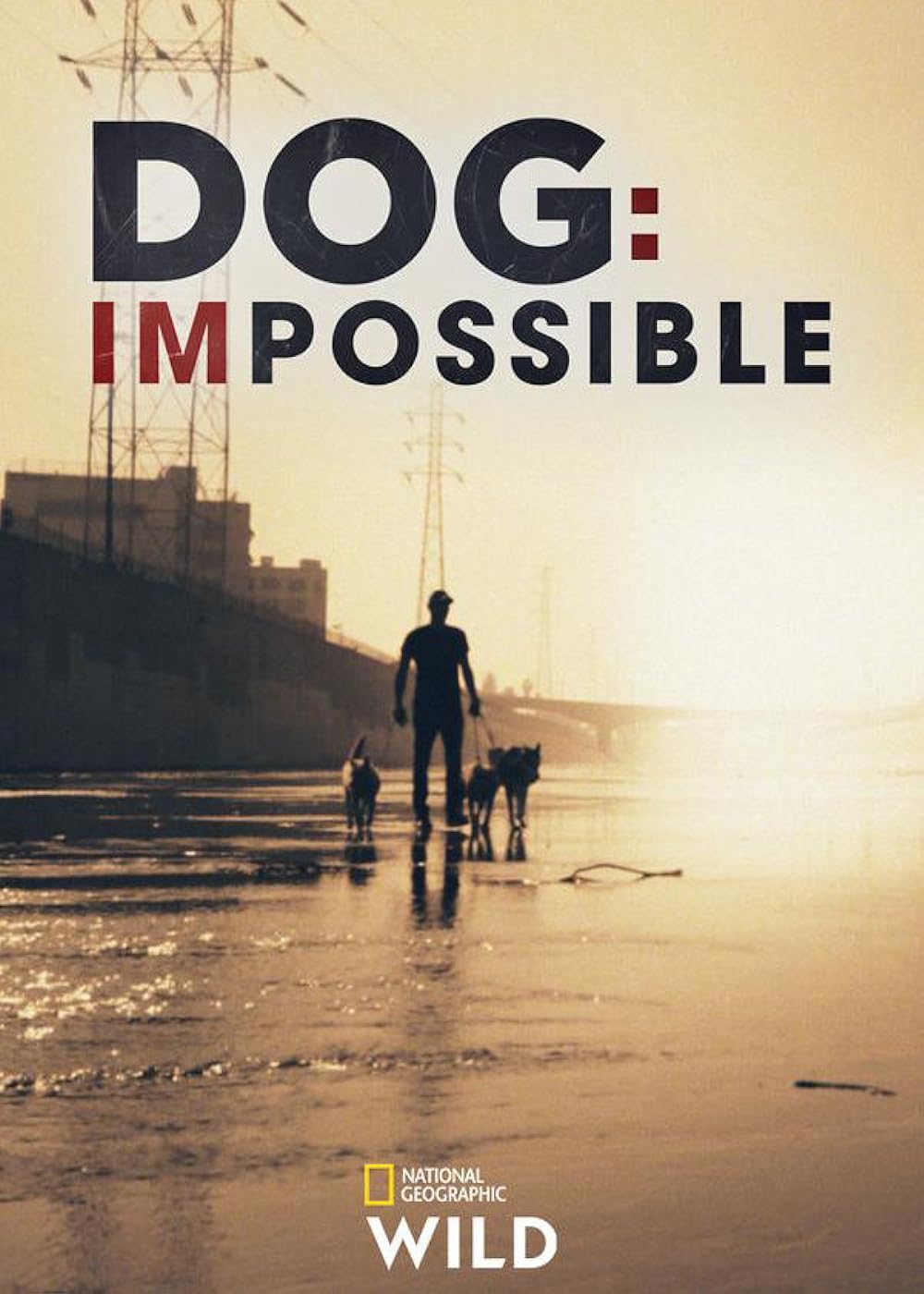 Dog: Impossible (2019)