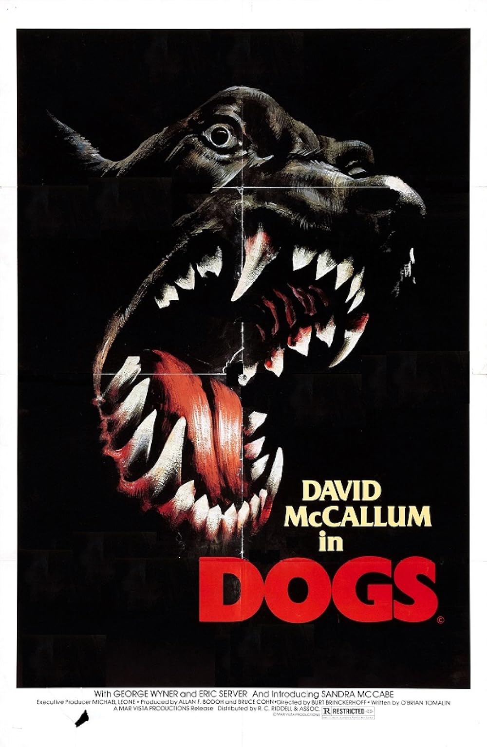 Dogs (1977)