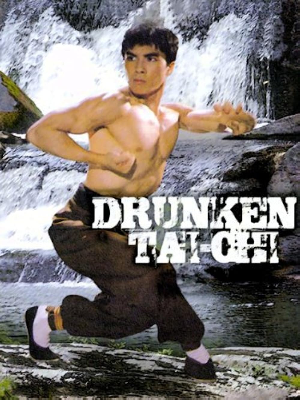 Drunken Tai Chi (1984)