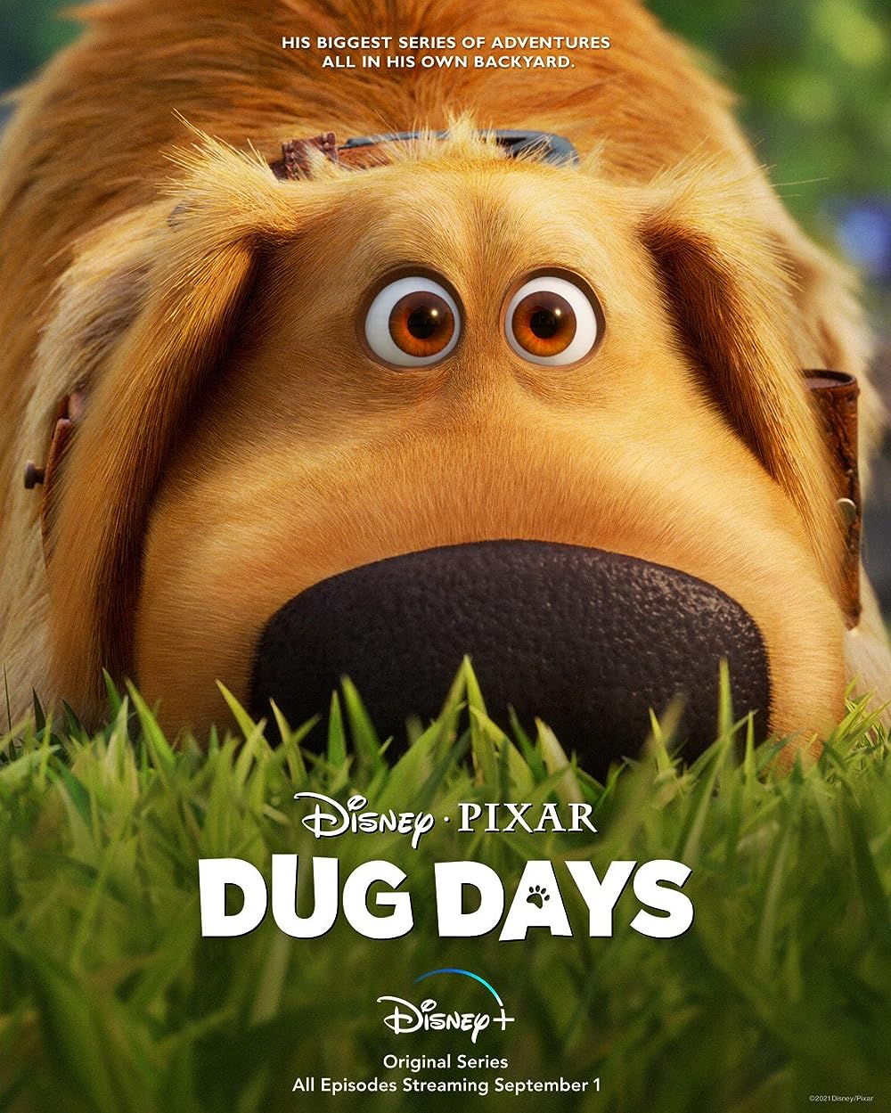 Dug Days (2021)