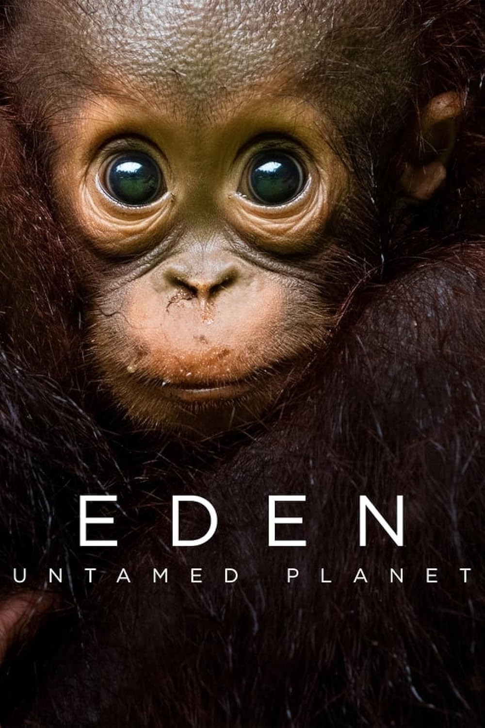 Eden: Untamed Planet (2021)