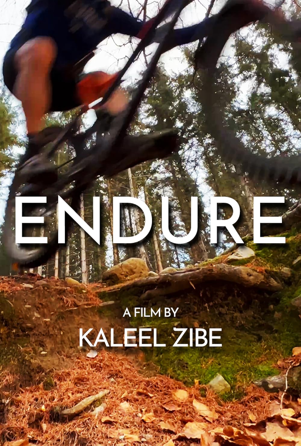 Endure (2024)