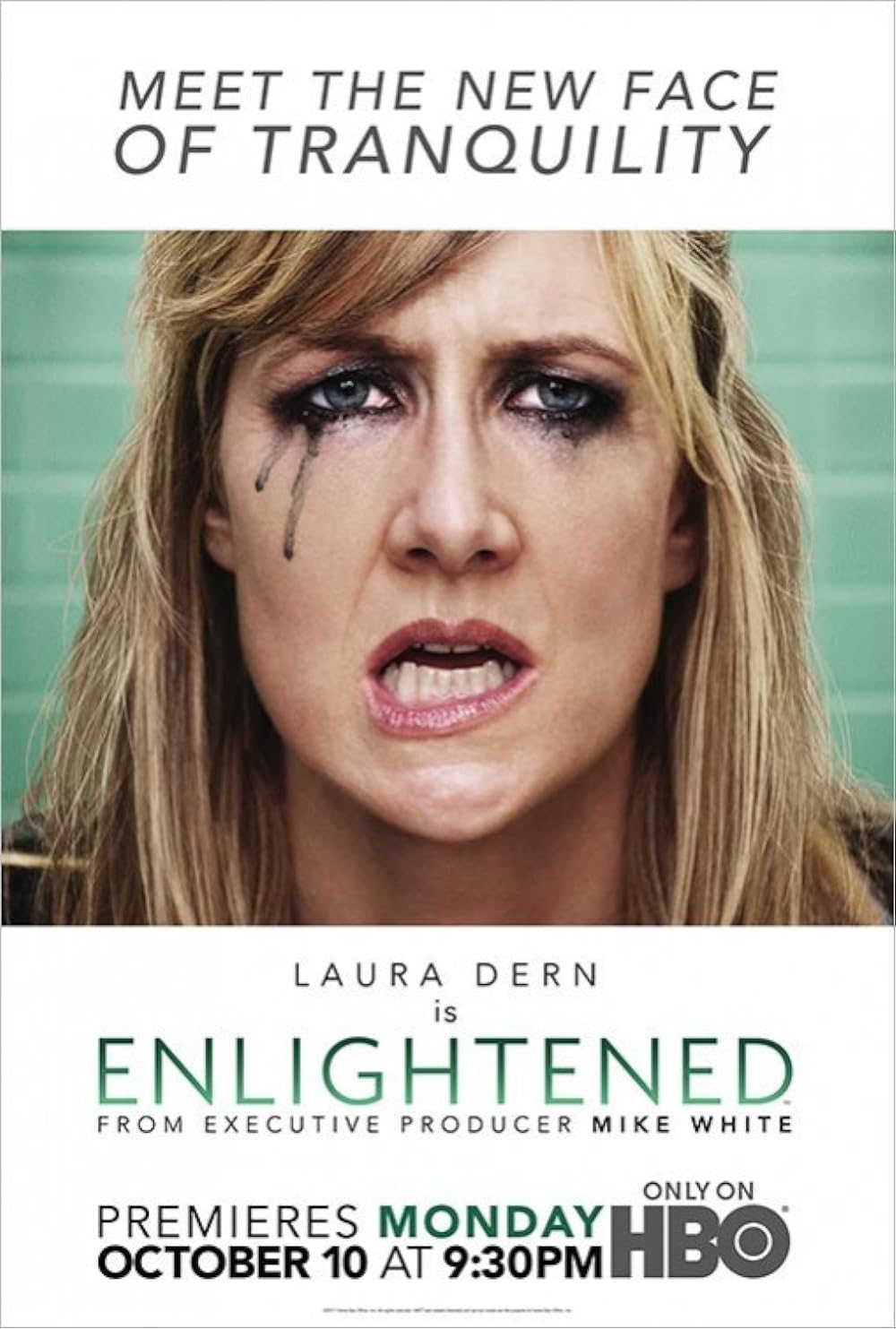 Enlightened (2011)