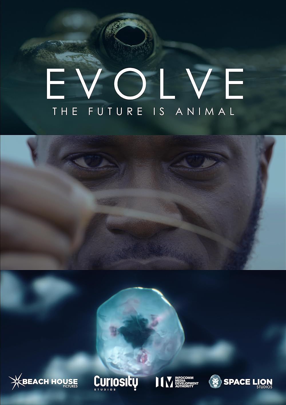 Evolve (2021)