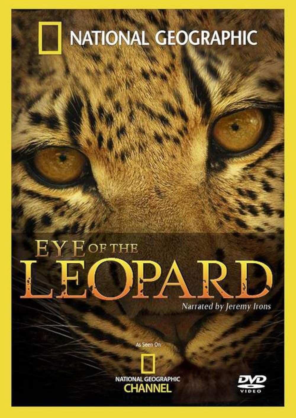 Eye of the Leopard (2006)