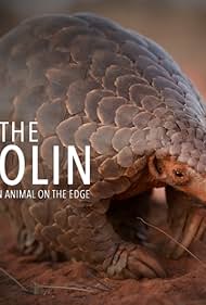 Eye of the Pangolin (2019)