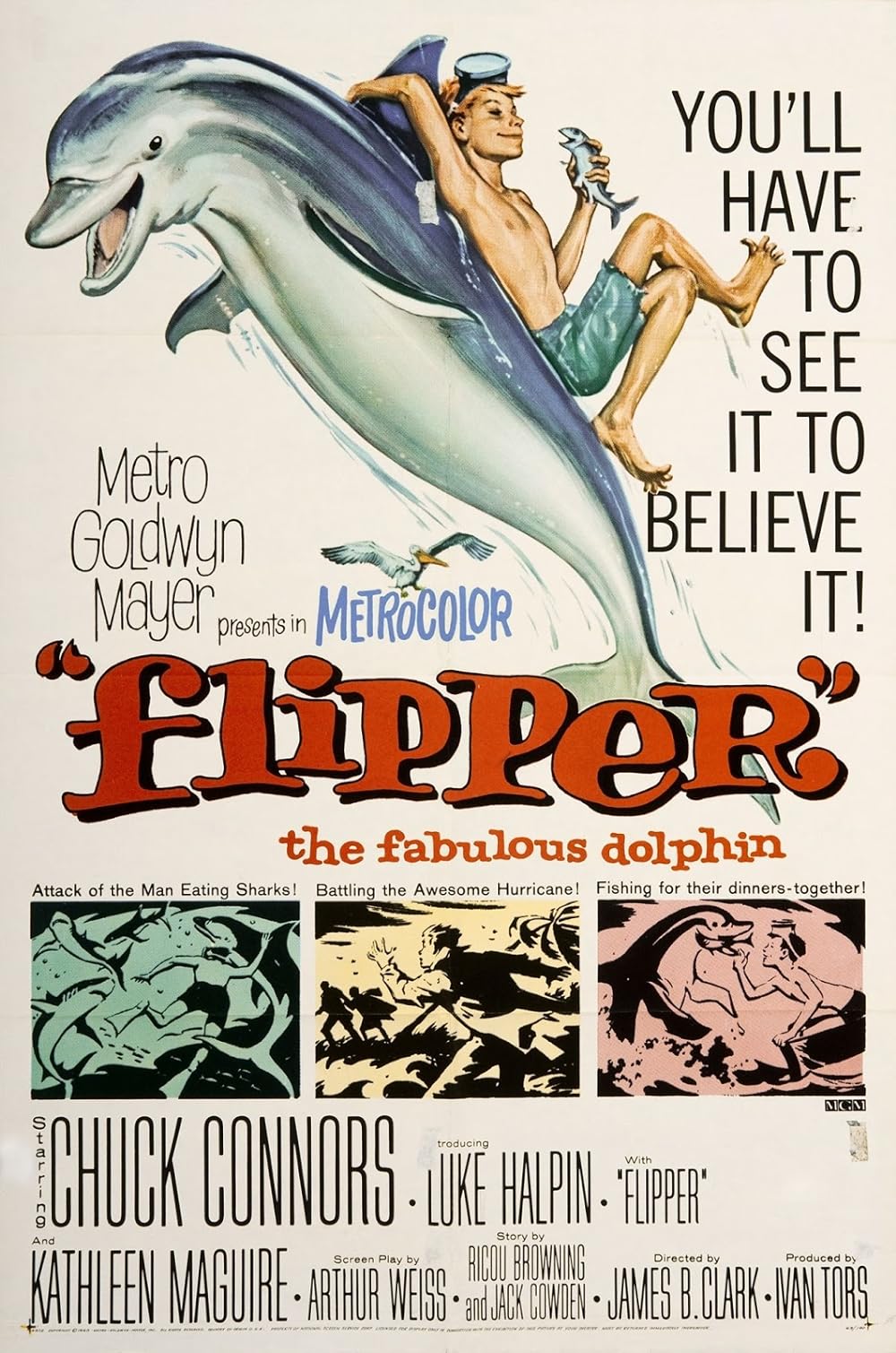 Flipper (1963)