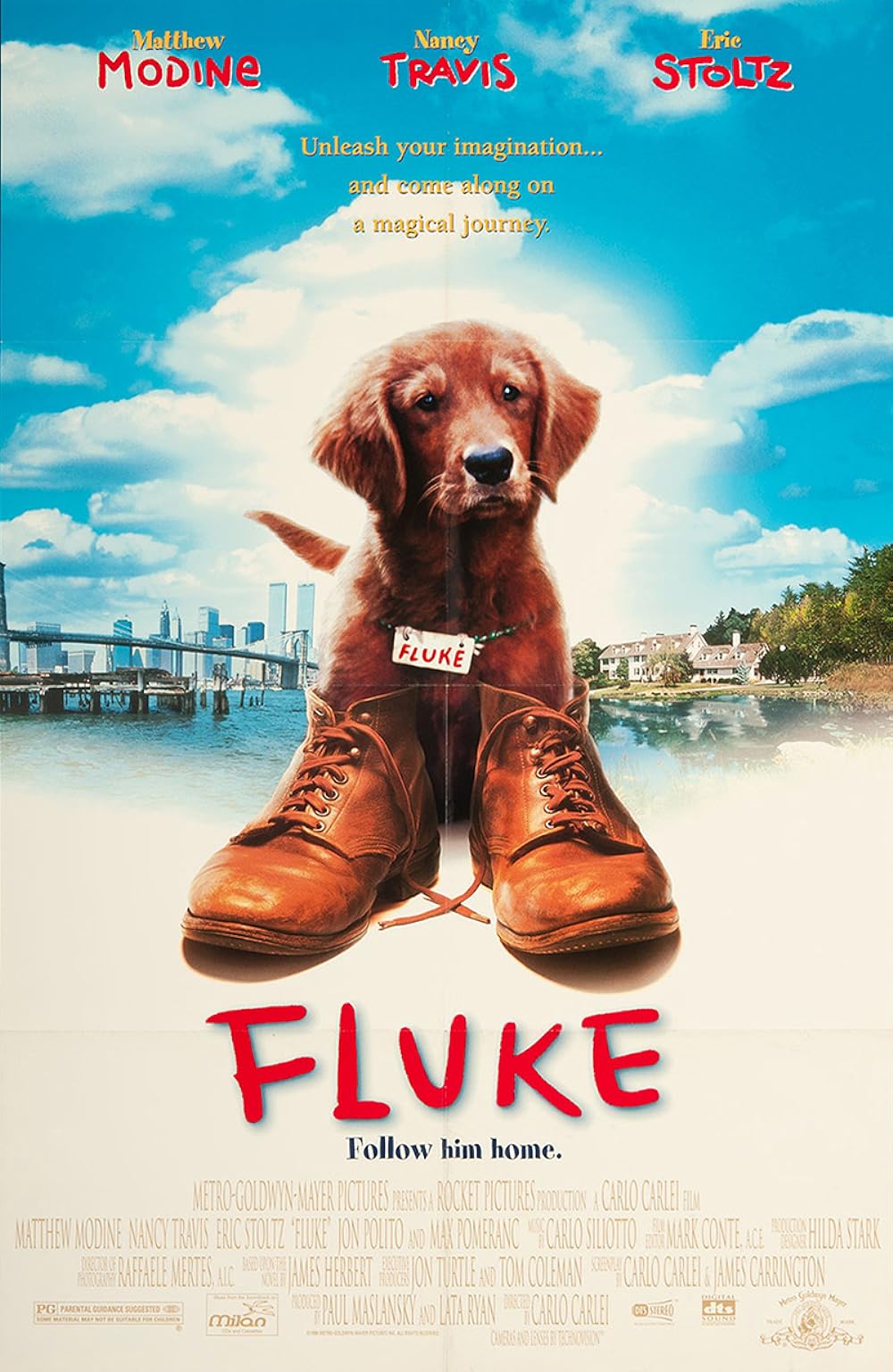 Fluke (1995)