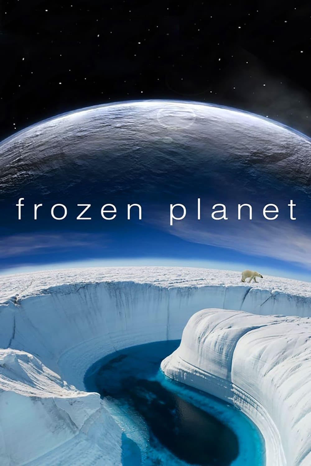 Frozen Planet (2012)