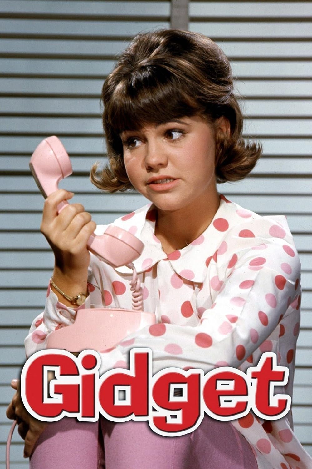 Gidget (1965)