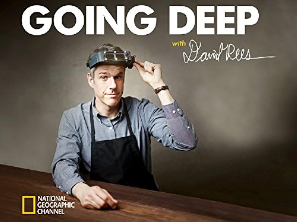 Going Deep with David Rees (2014)