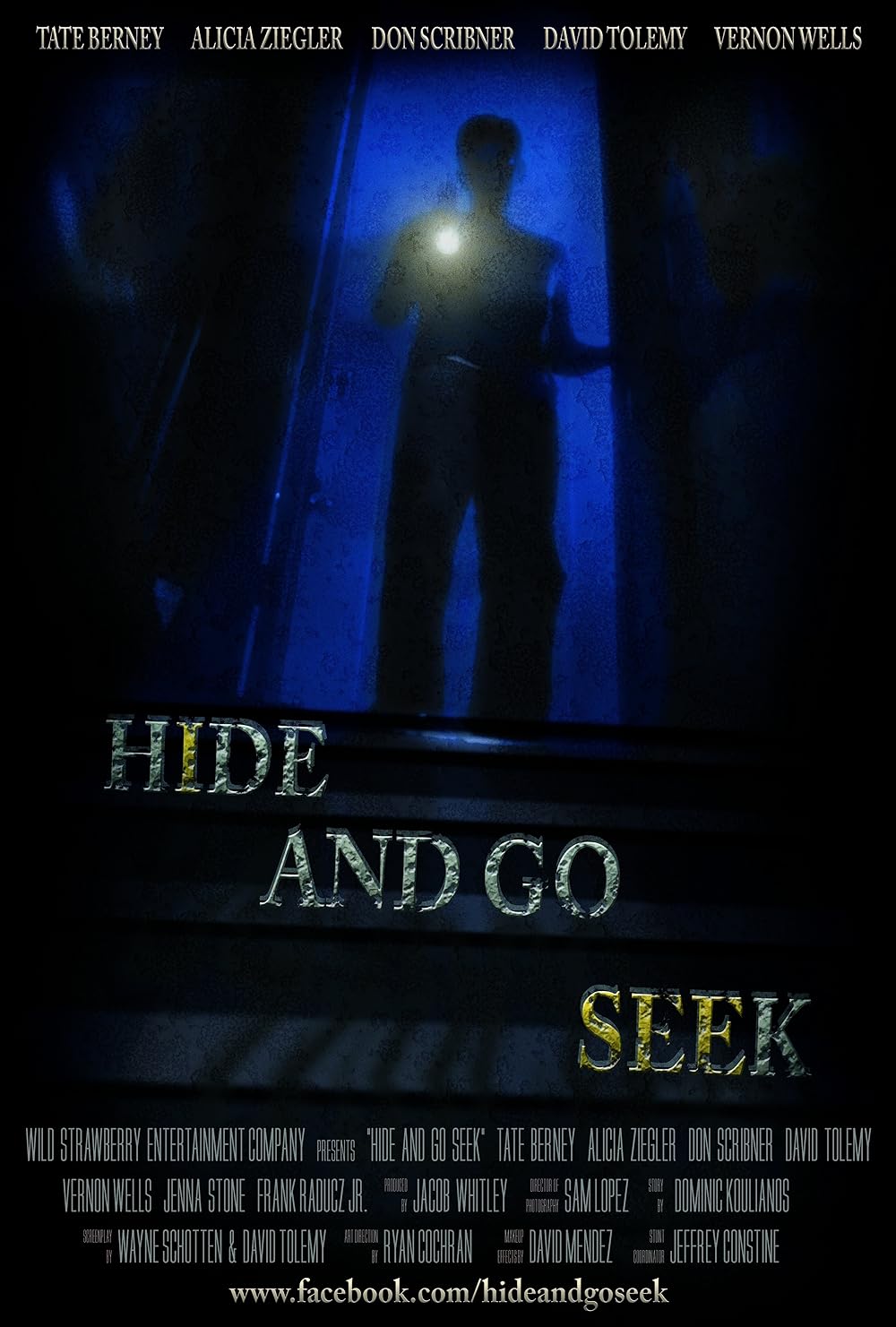 Hide and Go Seek (2021)