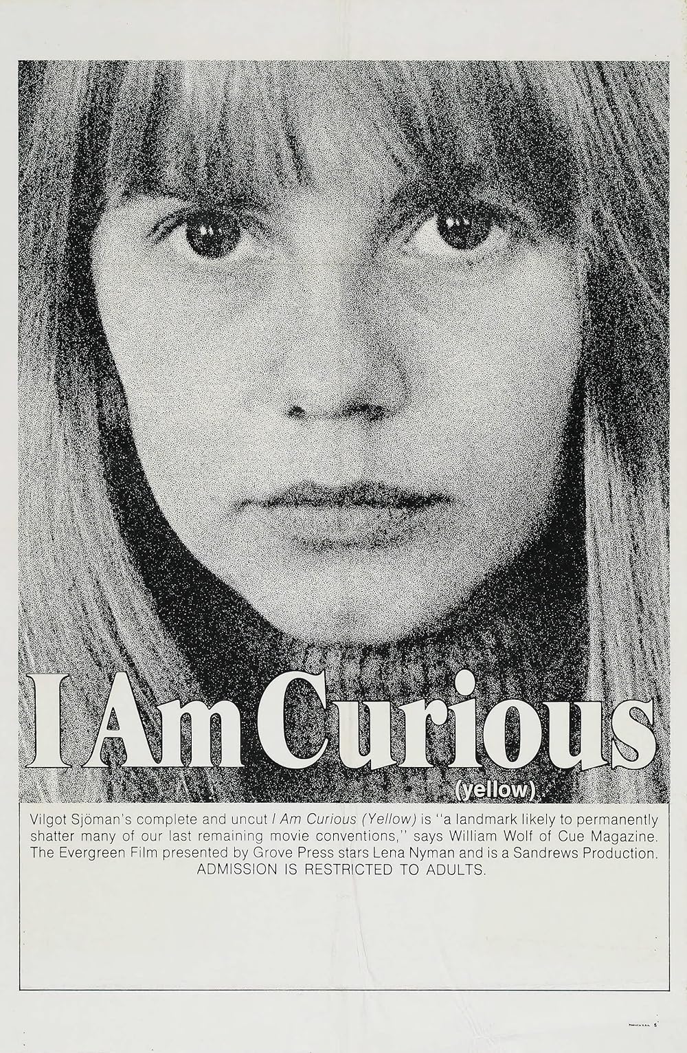 I Am Curious (Yellow) (1969)