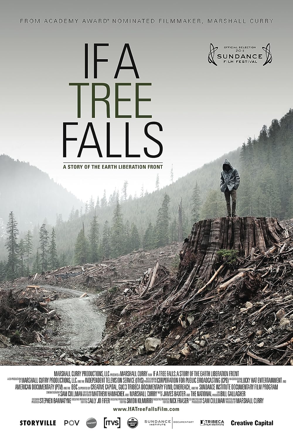 If a Tree Falls: A Story of the Earth Liberation Front (2011)