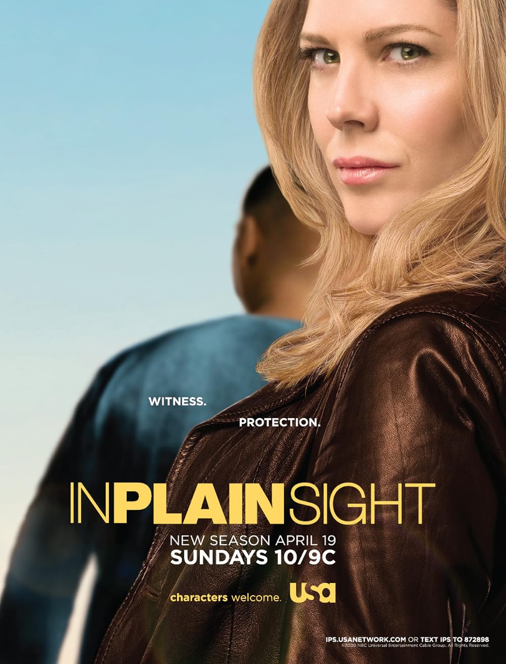 In Plain Sight (2008)