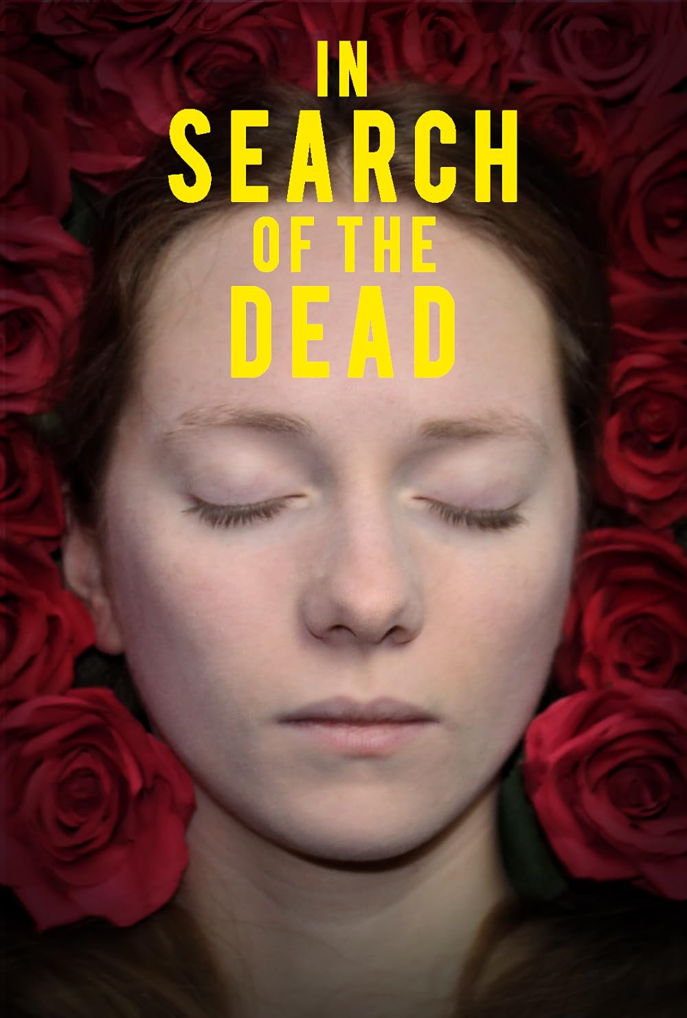 In Search of the Dead (2019)