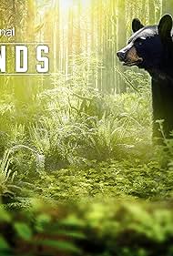 Islands: Nature's Wild Laboratories (2023)