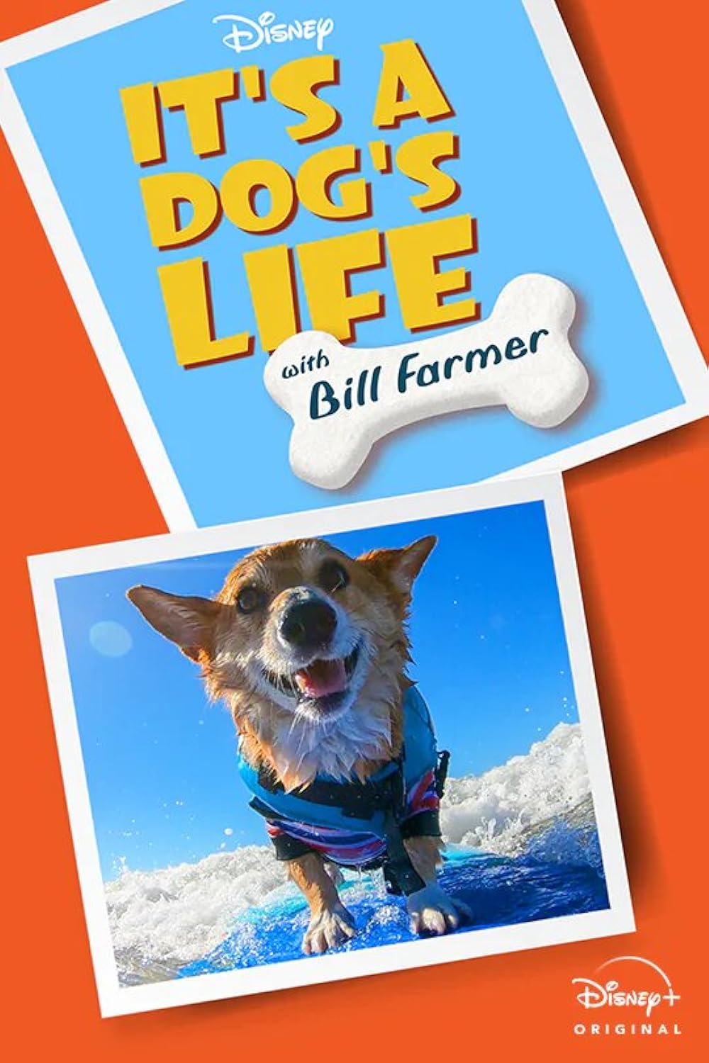 It's A Dog's Life (2020)