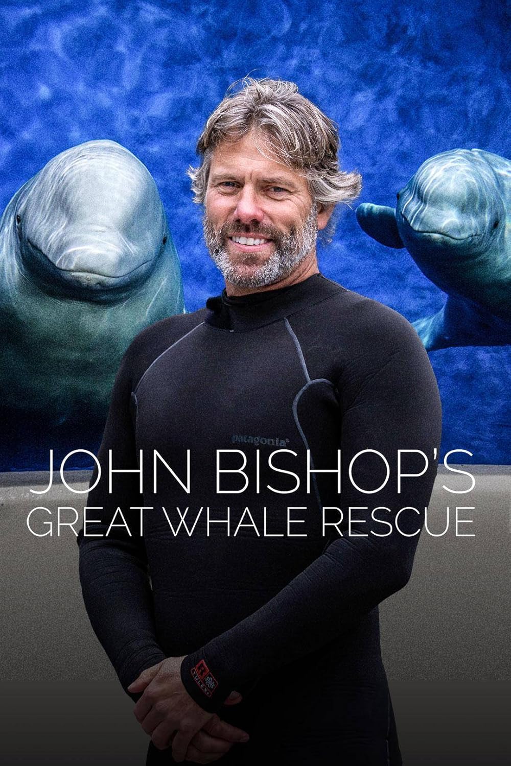 John Bishop's Great Whale Rescue (2020)