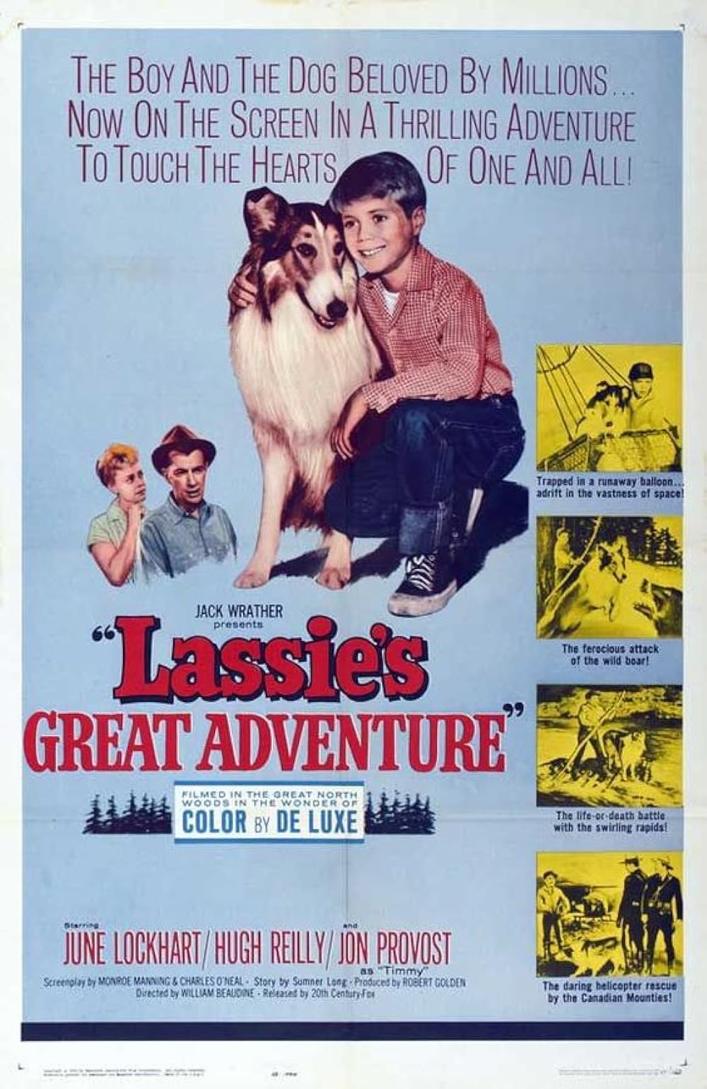 Lassie's Great Adventure (1963)