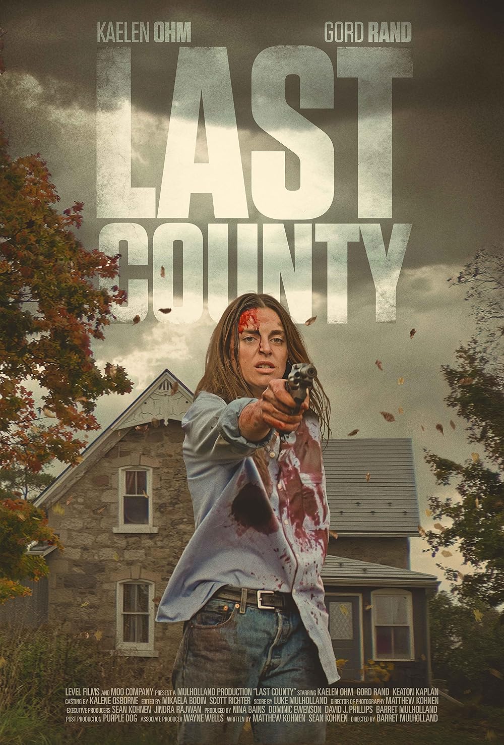 Last County (2023)