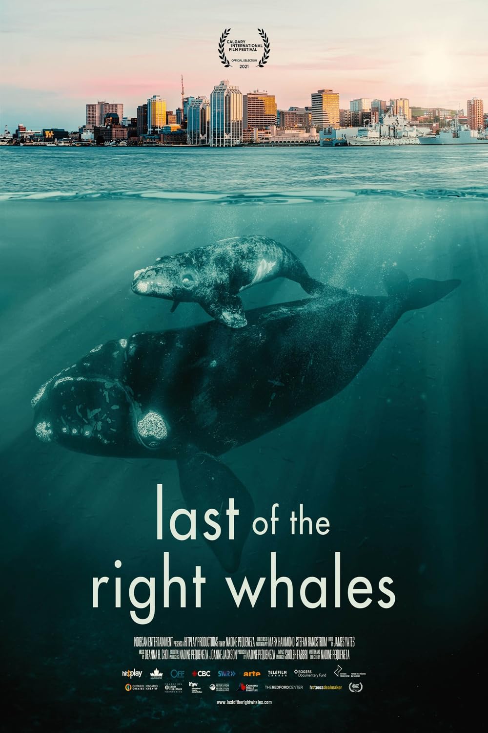 Last of the Right Whales (2021)