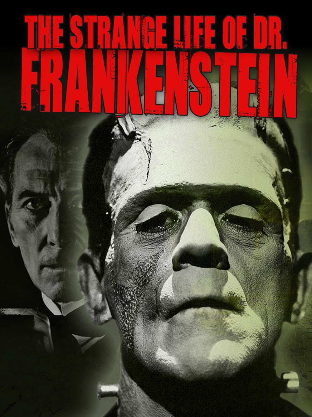 Le funeste destin du docteur Frankenstein (2018)