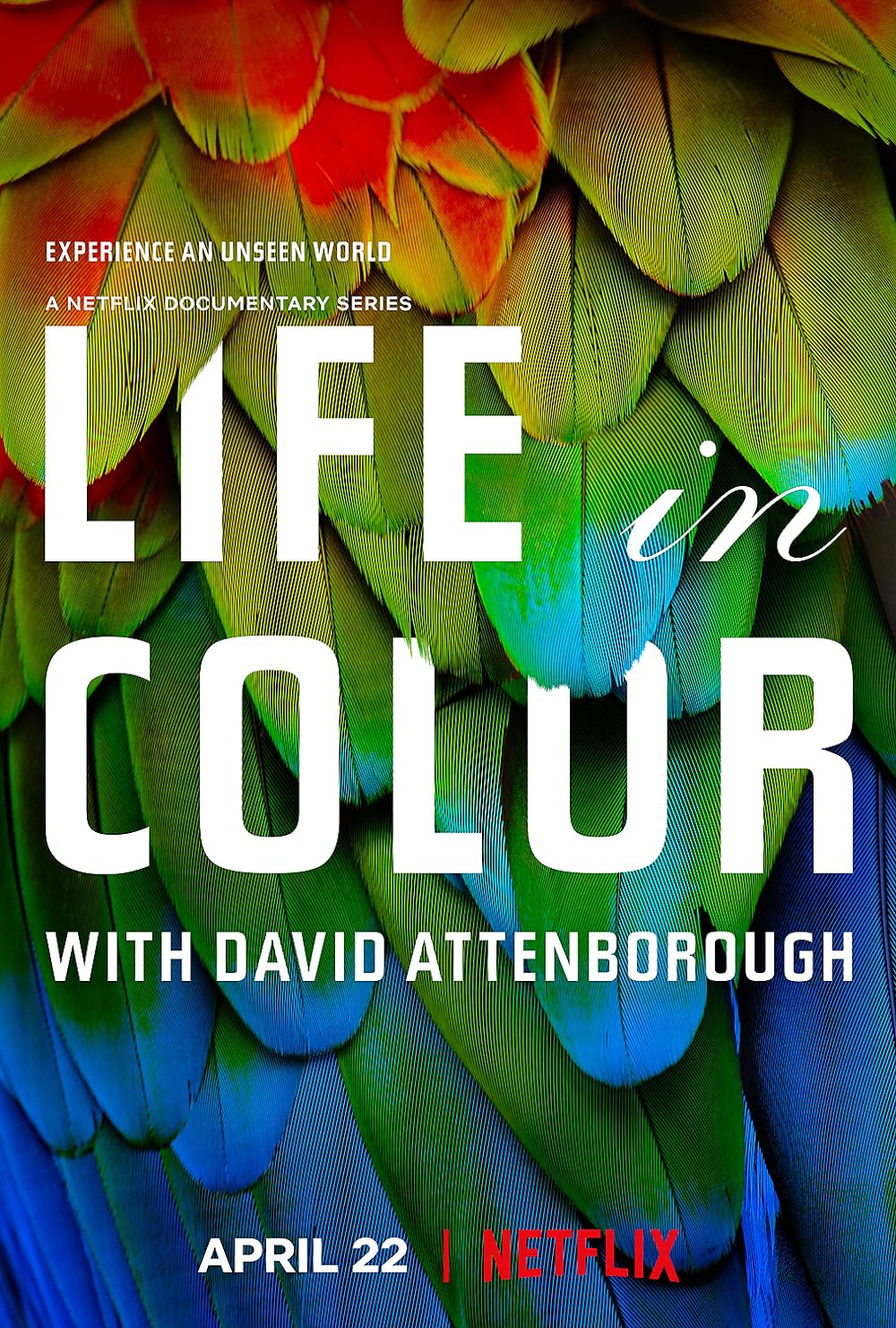 Life in Colour (2021)