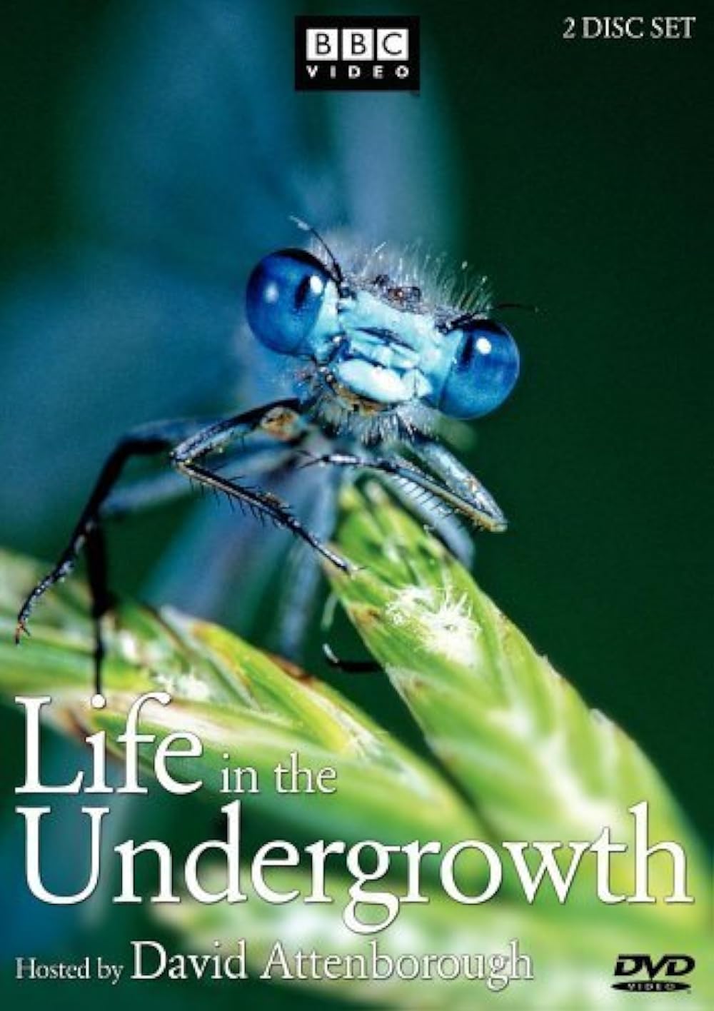 Life in the Undergrowth (2005)