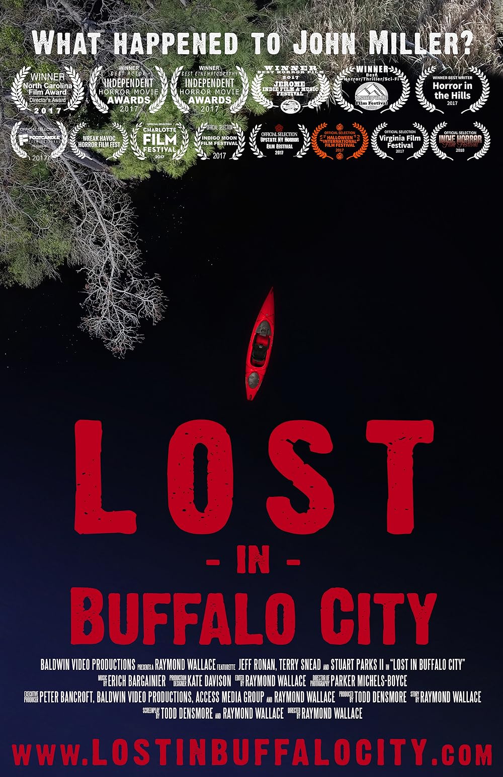 Lost in Buffalo City (2017)