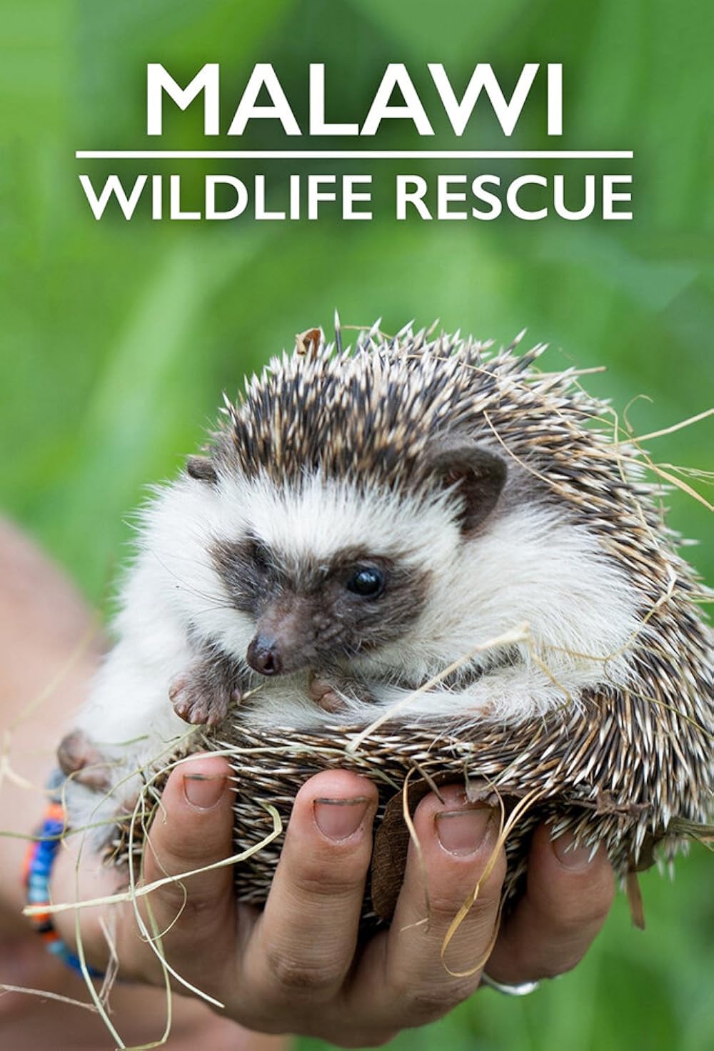 Malawi Wildlife Rescue (2019)