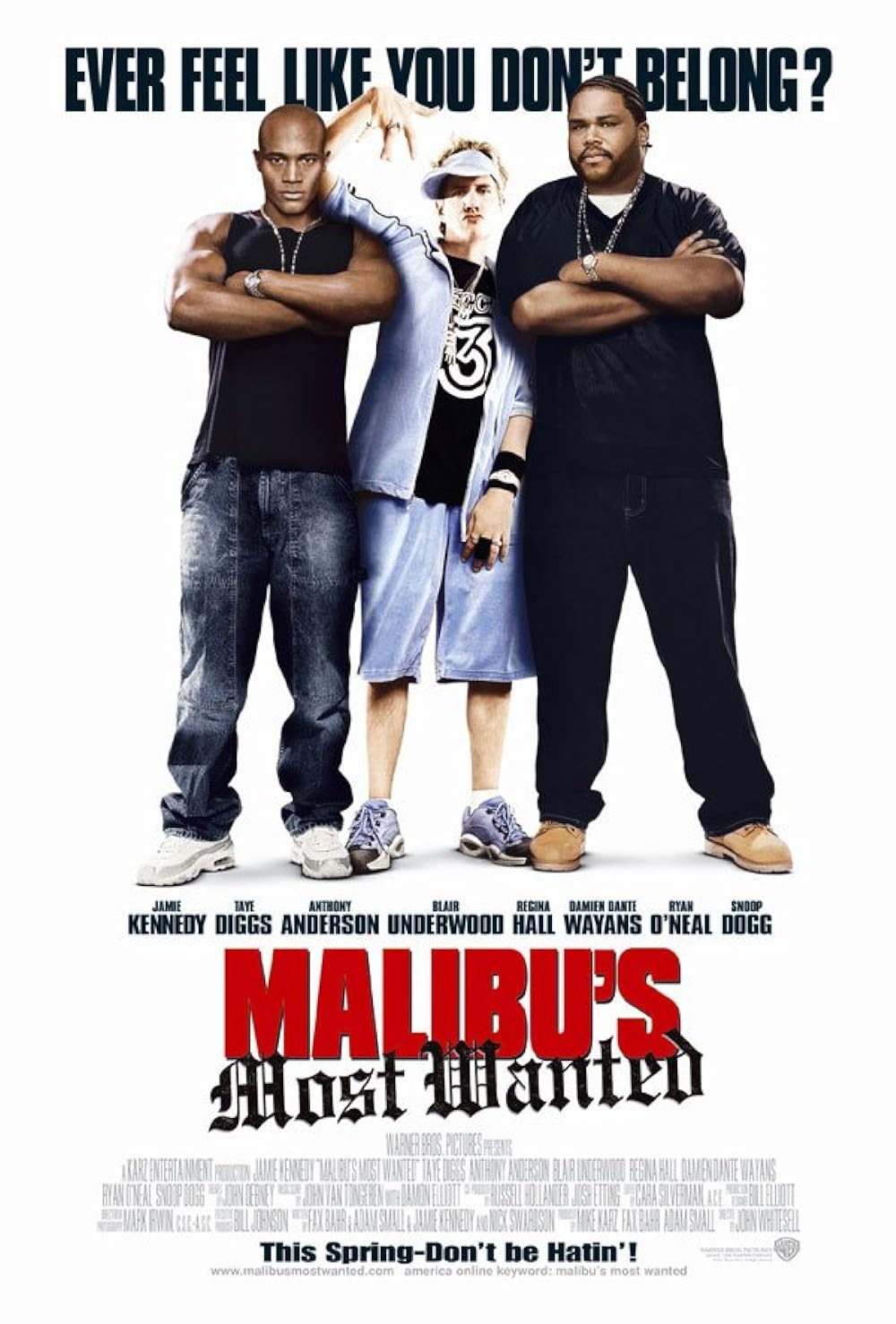 Malibu's Most Wanted (2003)