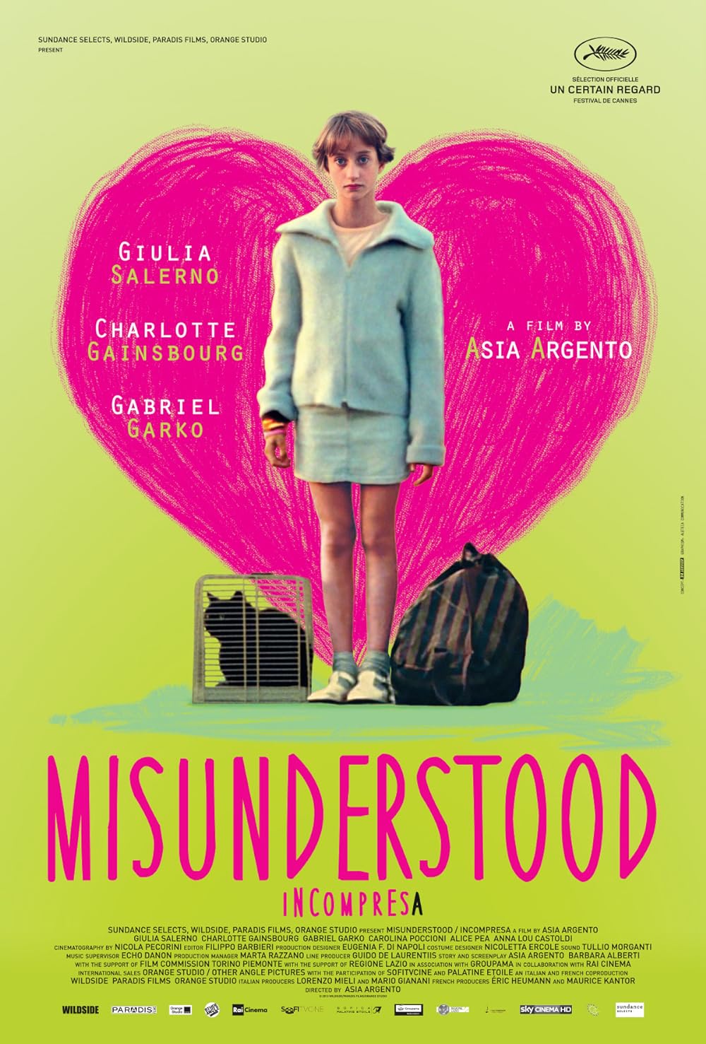 Misunderstood (2014)