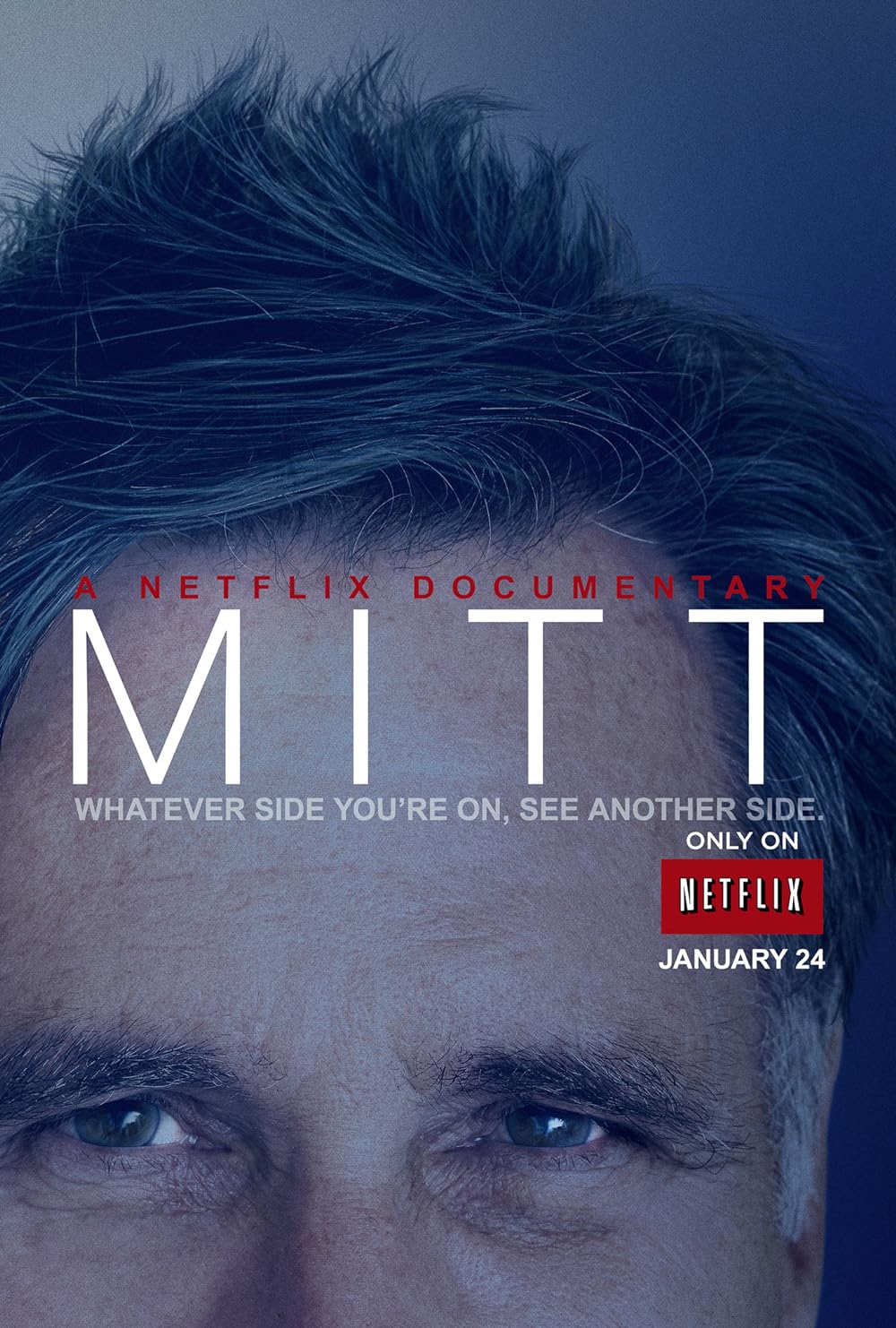 Mitt (2014)