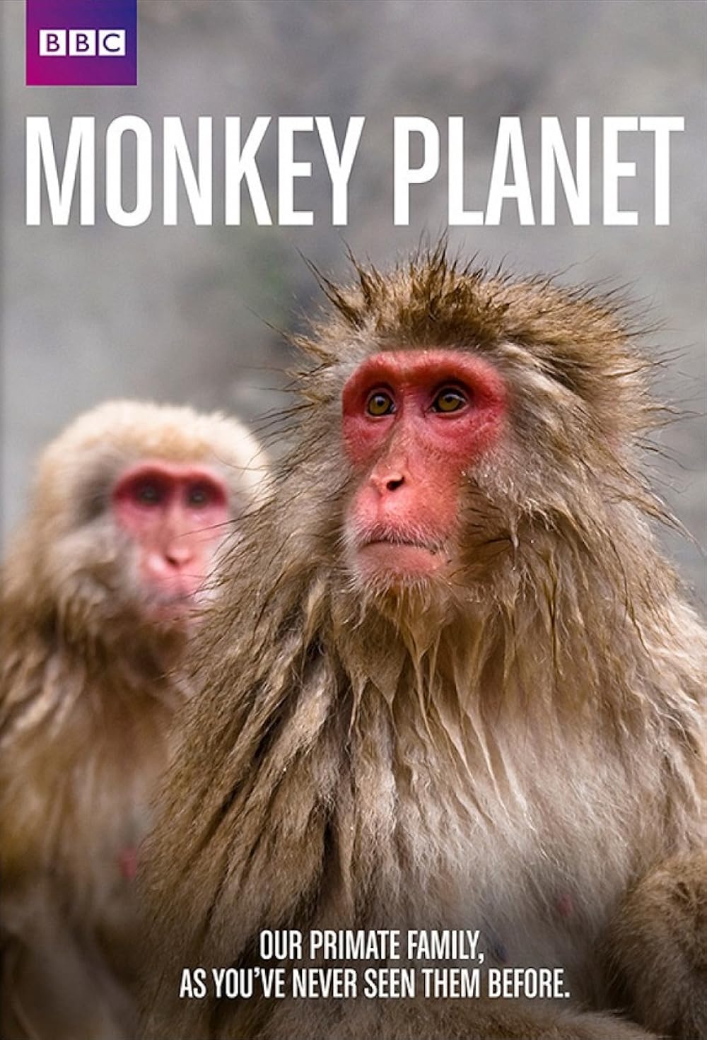 Monkey Planet (2014)