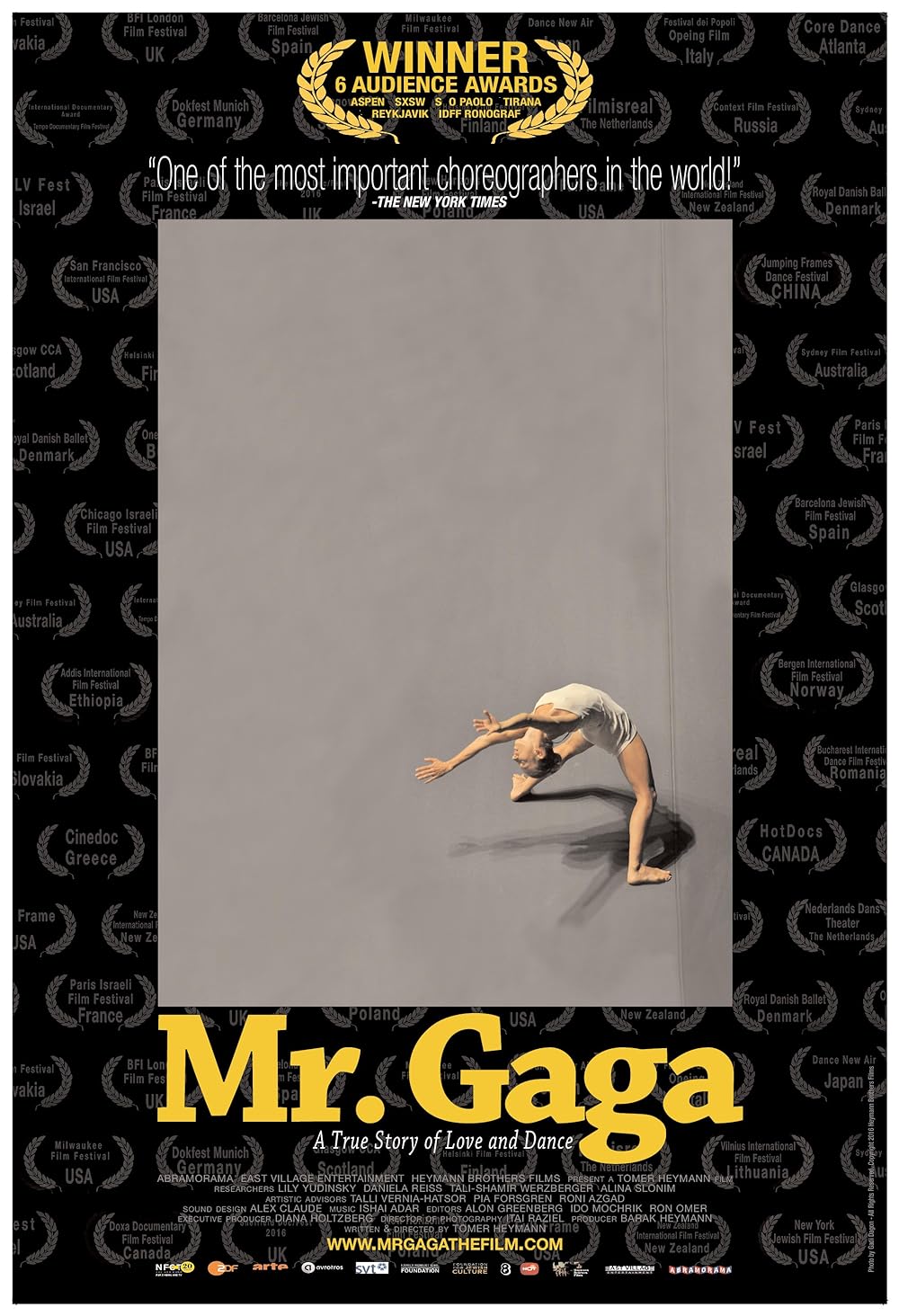 Mr. Gaga: A True Story of Love and Dance (2017)