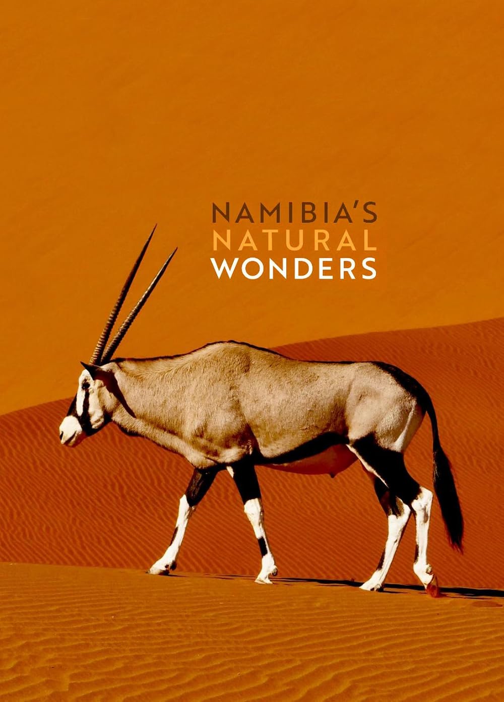 Namibia's Natural Wonders (2023)