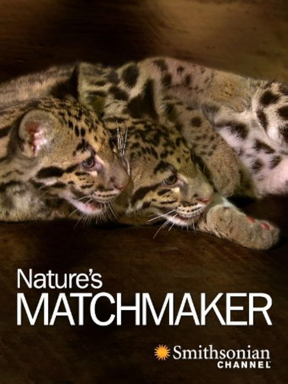 Nature's Matchmaker (2011)