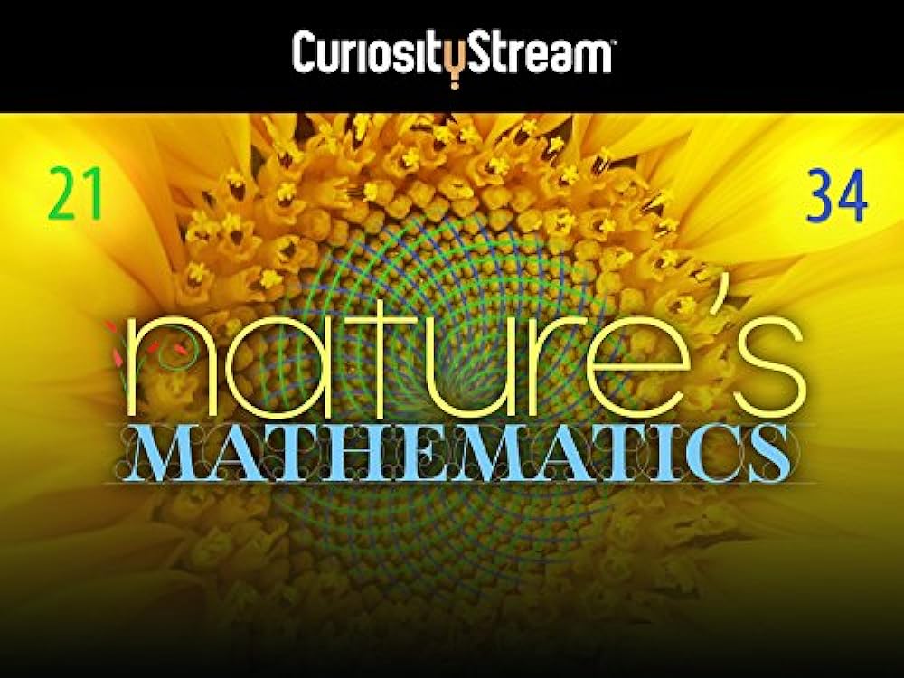 Nature's Mathematics (2017)