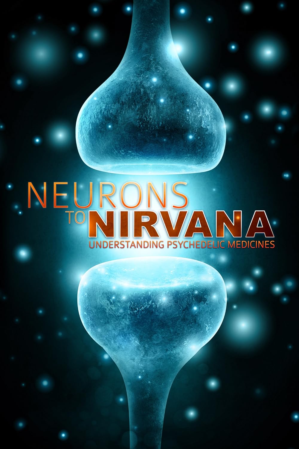 Neurons to Nirvana (2013)