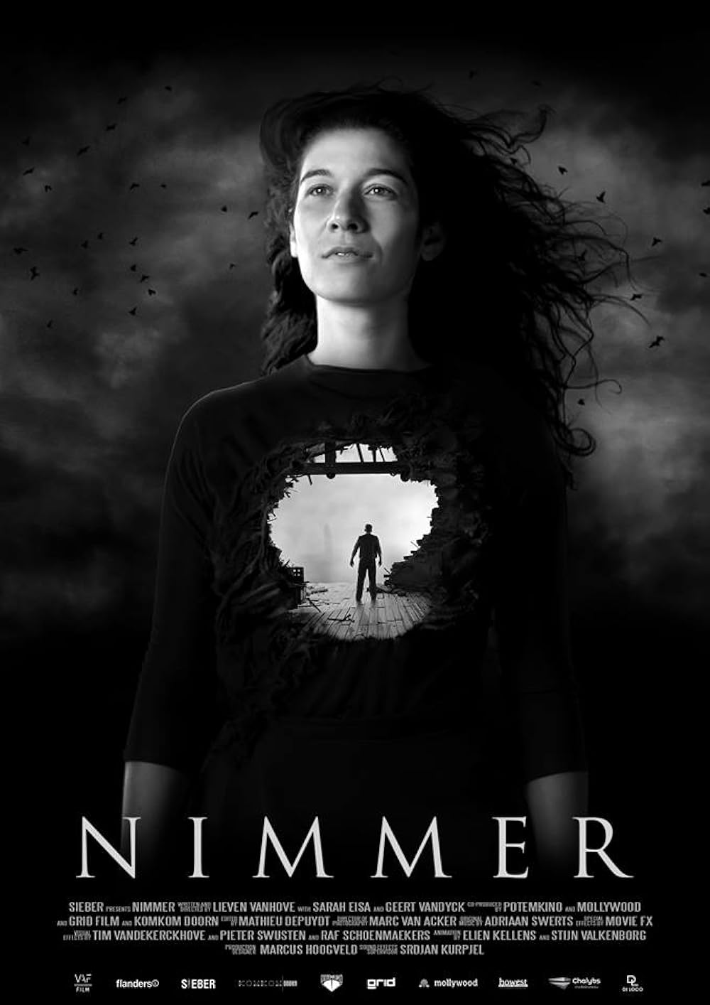 Nimmer (2017)