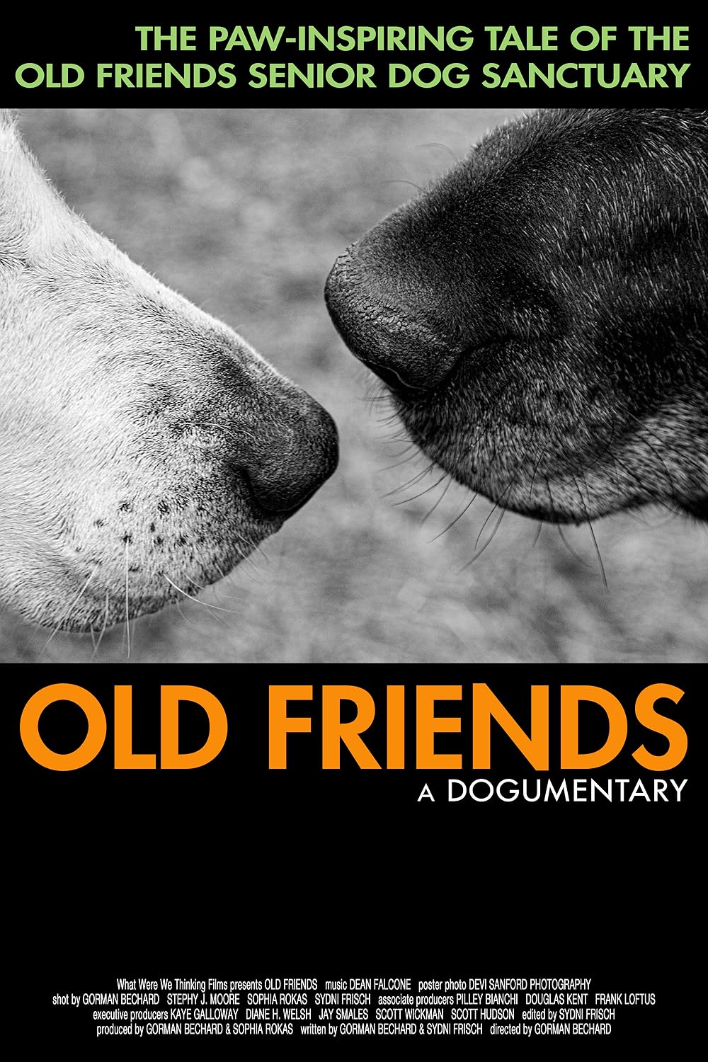 Old Friends: A Dogumentary (2022)