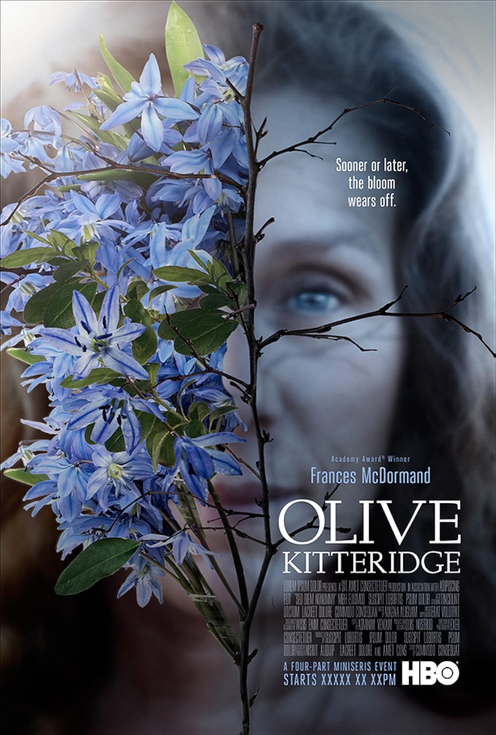 Olive Kitteridge (2014)