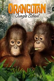 Orangutan Jungle School (2019)