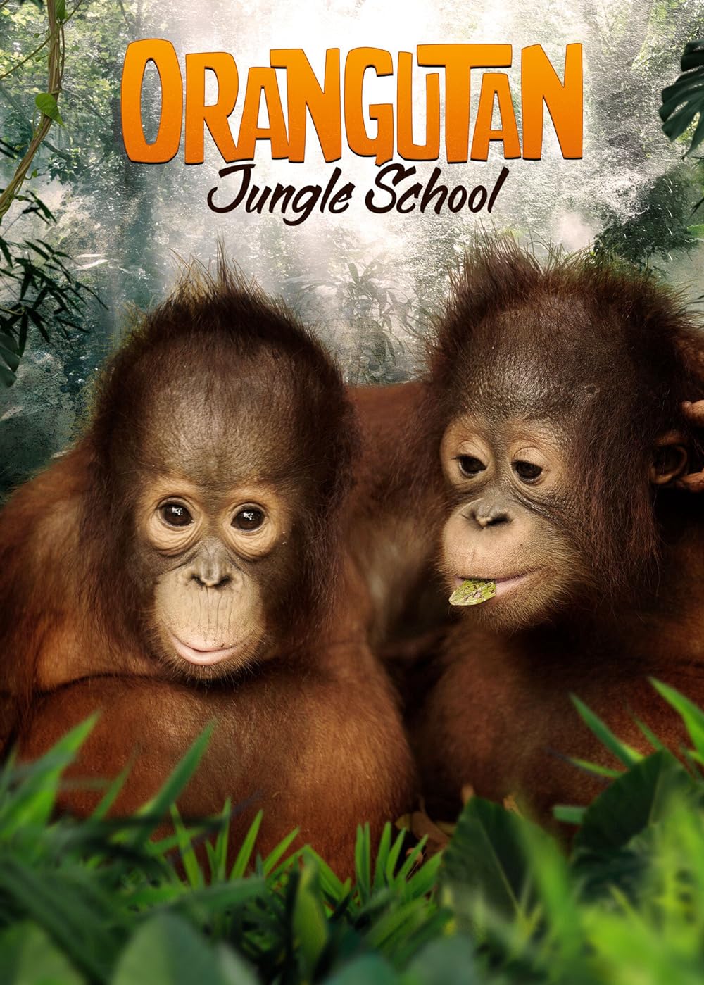 Orangutan Jungle School (2019)